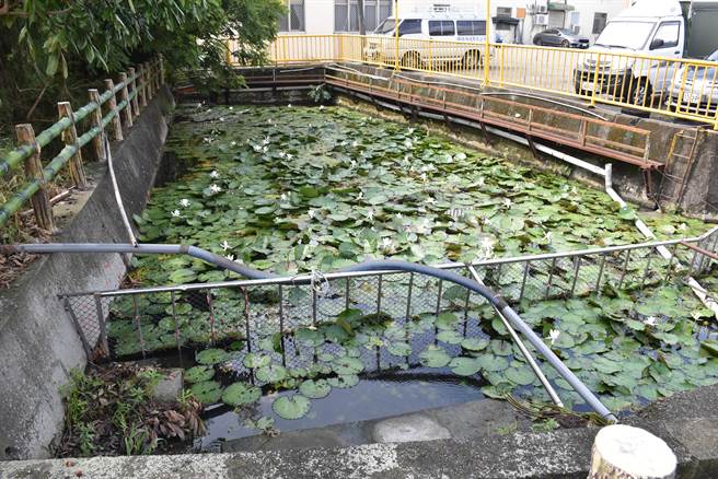 苗栗县公馆乡中义村姐妹泉灌溉周边芋头等农作。（谢明俊摄）