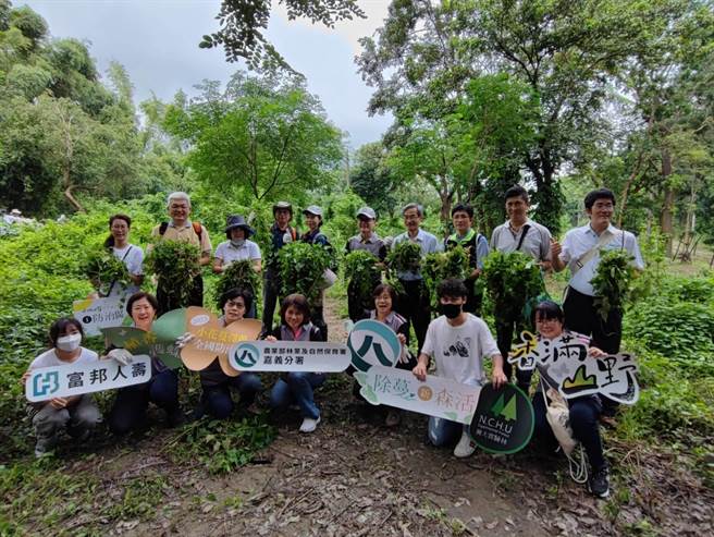 9月第一个周六是「小花蔓泽兰全国防治日」，林业保育署嘉义分署在中兴大学新化林场举办移除小花蔓泽兰的宣导活动。(曹婷婷摄)