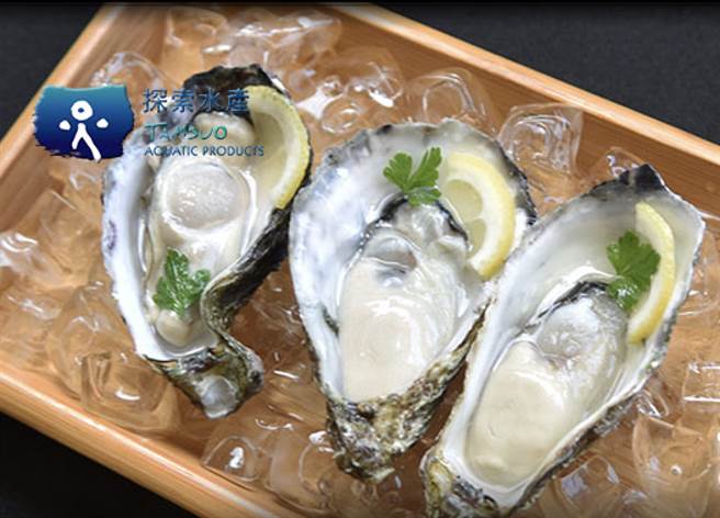 日本也有透过篮式养殖的生食级生蚝，提升口感的同时也延长生存周期。（探索水产科技提供／朱世凯台北传真）
