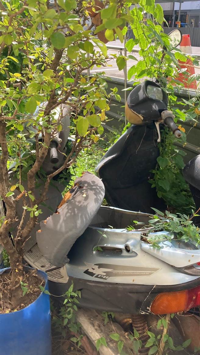 防疫團隊昨日於左營區進行環境巡檢，查獲31個積水容器，其中8個已經孳生病媒蚊孑孓（陽性率達25.8％）。（高市衛生局提供／楊舒婷高雄傳真）