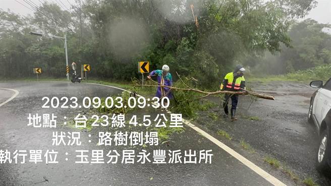 随海葵颱风暴风圈持续碰触台湾本岛，花莲今天上午陆续感到明显风雨，且吹垮路树，警方赶紧协助排除，恢復交通。（玉里警分局提供／罗亦晽花莲传真）