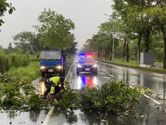 随海葵颱风暴风圈持续碰触台湾本岛，花莲今天上午陆续感到明显风雨，且吹垮路树，警方赶紧协助排除，恢復交通。（凤林警分局提供／罗亦晽花莲传真）