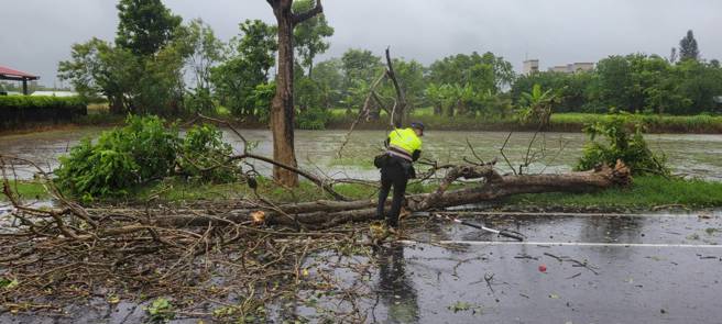 路树倒塌阻碍交通，警方协助排除。（警方提供）