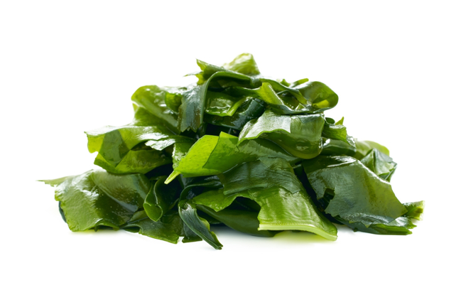 医师黄郁纯指出，食用海藻类除了能消除胀气外，还可增强肠道屏障、调节肠道微生物群、缓解溃疡性结肠炎。（示意图／Shutterstock）