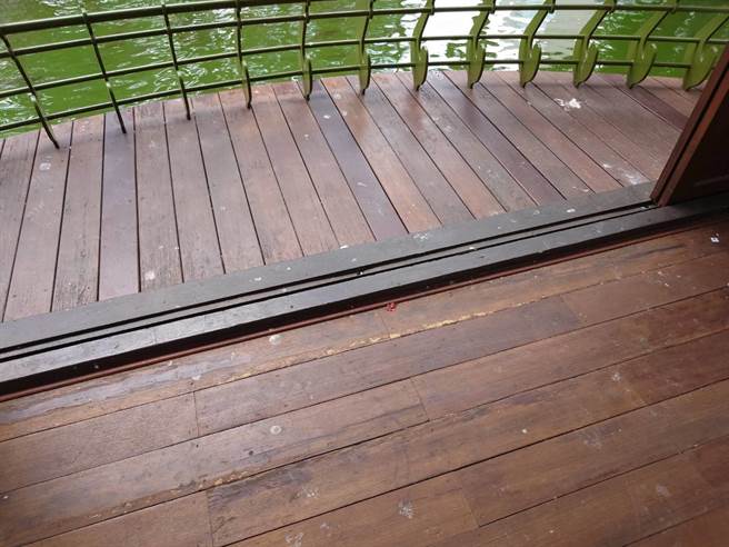 台中公园地标湖心亭日前才斥资近千万修復，地板上仍遍布鸽粪。（陈俞融提供）