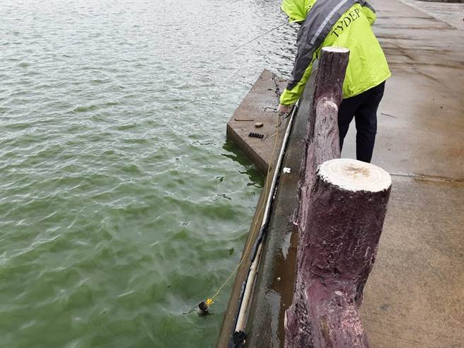 农田水利署石门管理处目前已将死鱼清理完毕，环保局也赴现场检测水质。（桃园市环保局提供／陈梦茹桃园传真）