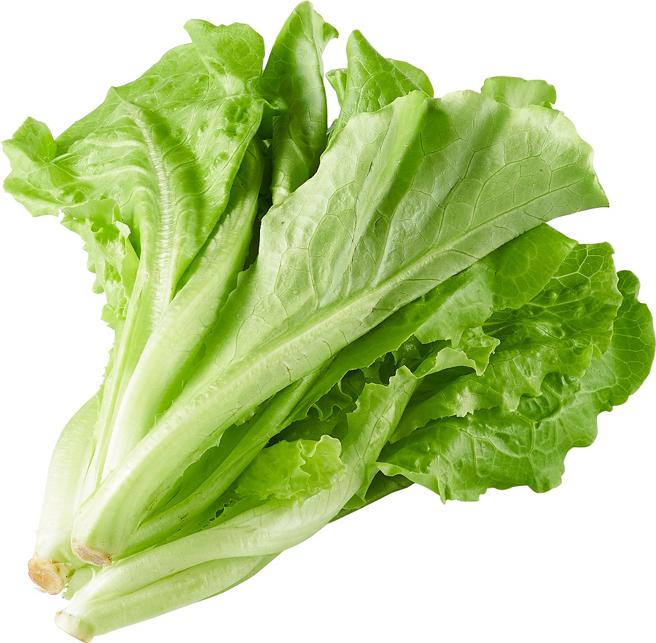 全聯特價大陸A菜29元／包。（全聯提供）