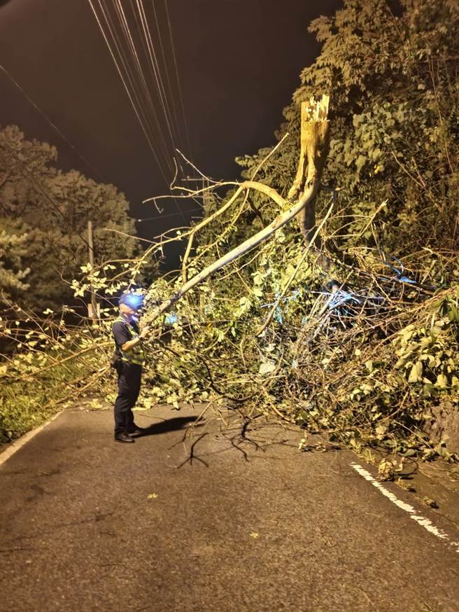 台中市和平山区受海葵颱风影响，台8线32.5K处及十文巷36号下方路段3日晚上8点半有路树倾倒造成道路双向受阻，目前抢修中。（和平警分局提供／潘虹恩台中传真）