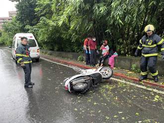 不敵海葵颱風…仰德大道國安局旁路樹坍塌 婦人驚嚇自摔倒地
