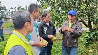 台東風災農損6億元 農業部宣布全區全品項農業救助