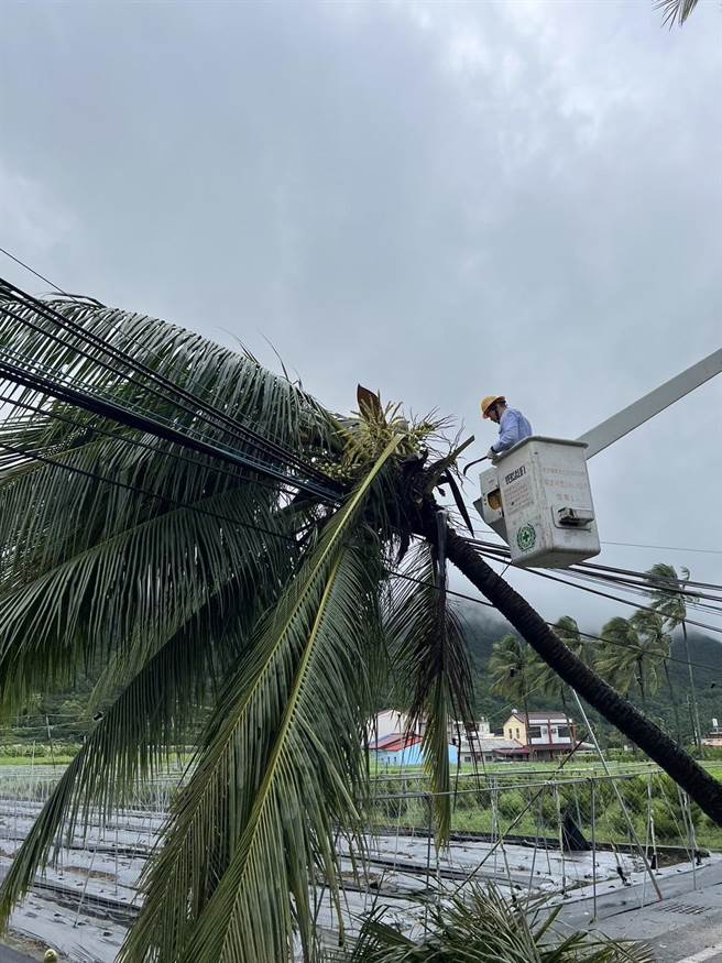 怪颱海葵兩度登陸，造成高雄多個行政區大停電，主要以美濃、鳳山、大社為主，截至今（4）日早上10時，仍有逾1.1萬戶停電中。（台電提供）