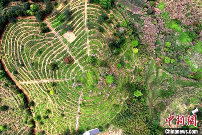 大陆乡村也不乏地方债风险，统计70万个村庄就欠了高达9000亿人民币之多，成为经济发展与乡村振兴的「拦路虎」。（示意图／中新社）