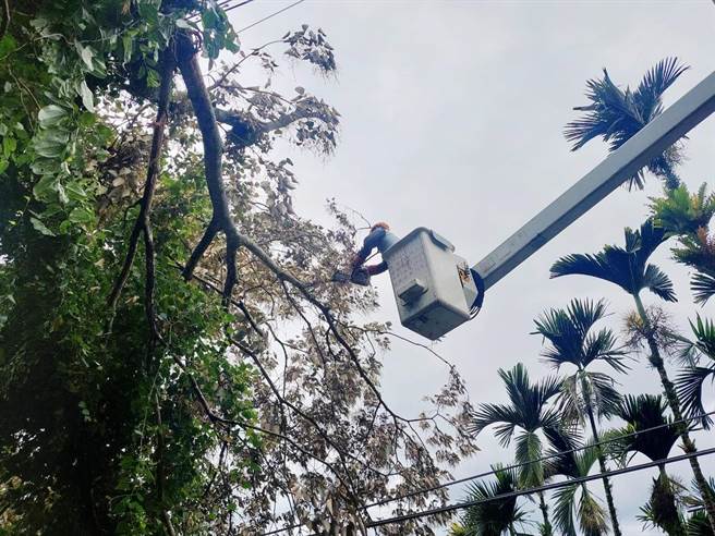 昨天至今天都有局部地区传停电灾情，嘉义地区累积最多曾停电户数达3908户，至中午12点只剩234户尚未復电。（台电嘉义区处提供∕吕妍庭嘉义传真）