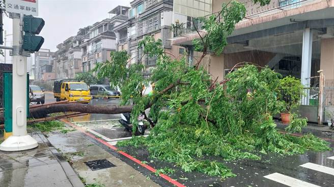 凤山区文正路4日上午发生路树倒塌击中停等红灯机车骑士，导致民眾受伤送医。（翻摄画面／洪浩轩高雄传真）