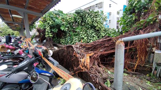 台東市公所清潔隊員、協力廠商、國軍共約200人持續投入災後清理工作，優先搶通醫院及主要幹道。（蕭嘉蕙攝）