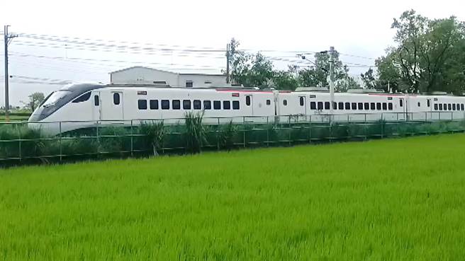 台铁421车次EMU3000自强号列车，行经关山路段时，疑似集电弓遭树枝击中，失去动力，动弹不得。（读者提供／萧嘉蕙台东传真）