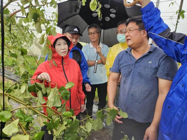 屏北作物受创严重，县长周春米前往勘灾。(屏县府提供)