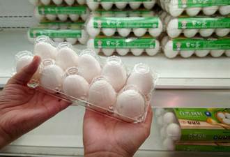 巴西雞蛋有禽流感風險？防檢署這麼說