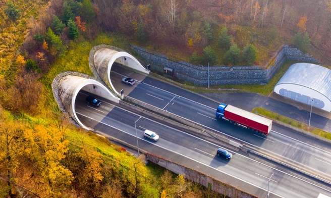 日本兵庫縣赤穗市今天凌晨有輛卡車在山陽自動車道尼子山隧道內起火，影響後車視線，導致9輛車追撞、8人受傷送醫。（示意圖／shutterstock）