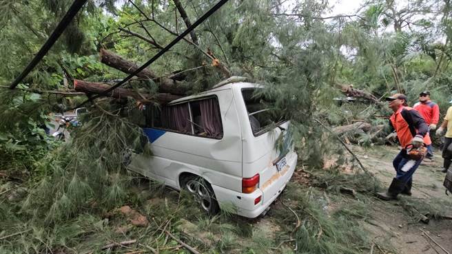 竹南鎮假日之森百年木麻黃樹因根部蛀腐，不堪海葵颱風吹襲倒塌壓毀住戶座車及餐廳桌椅。（讀者提供／謝明俊苗栗傳真）