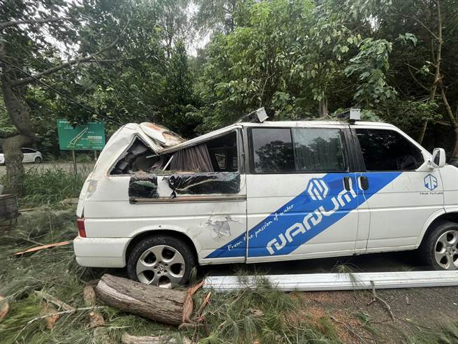 竹南鎮假日之森百年木麻黃樹因根部蛀腐，不堪海葵颱風吹襲倒塌壓毀住戶座車。（蔡岳達提供／謝明俊苗栗傳真）