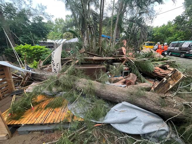 竹南鎮假日之森百年木麻黃樹因根部蛀腐，不堪海葵颱風吹襲倒塌壓毀住戶座車及餐廳桌椅。（讀者提供／謝明俊苗栗傳真）