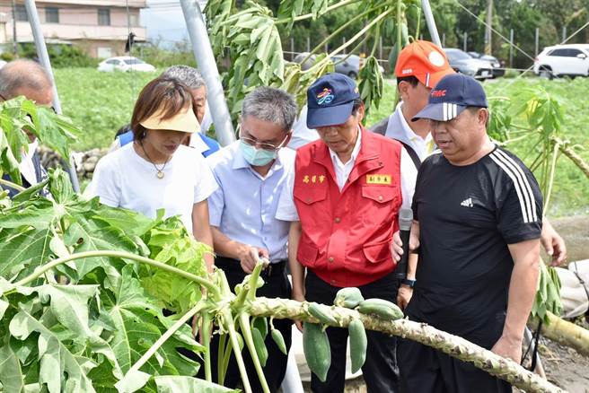 高雄市副市长林钦荣今天前往美浓及旗山区勘灾，强调会从宽从速，尽速帮农民恢復耕作。（立委邱议莹服务处提供／林雅惠高雄传真）