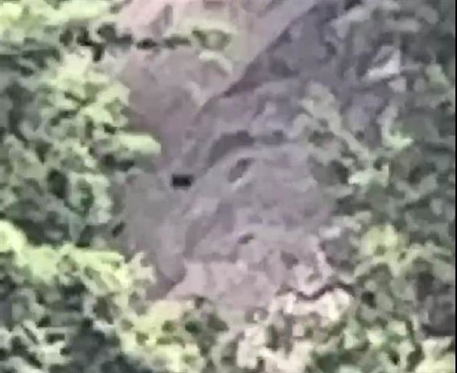 五峰有民眾拍到疑似台湾黑熊踪迹。（部落族人提供／邱立雅竹县传真）