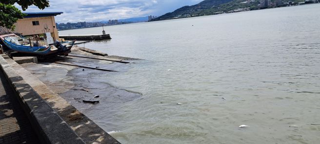 民眾也透露沪尾渔港河面上也出现微量死鱼。（照片 / 民眾提供）