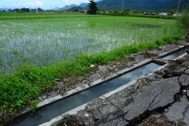 颱风惊人雨量，玉里镇约200公顷稻田淹水严重，主要在大禹、春日、松浦等地区。（王志伟摄）