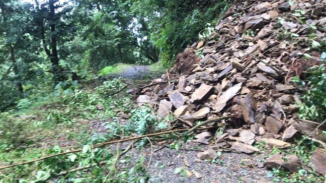 藤枝樹海步道。（林業保育署屏東分署提供／林雅惠高雄傳真）
