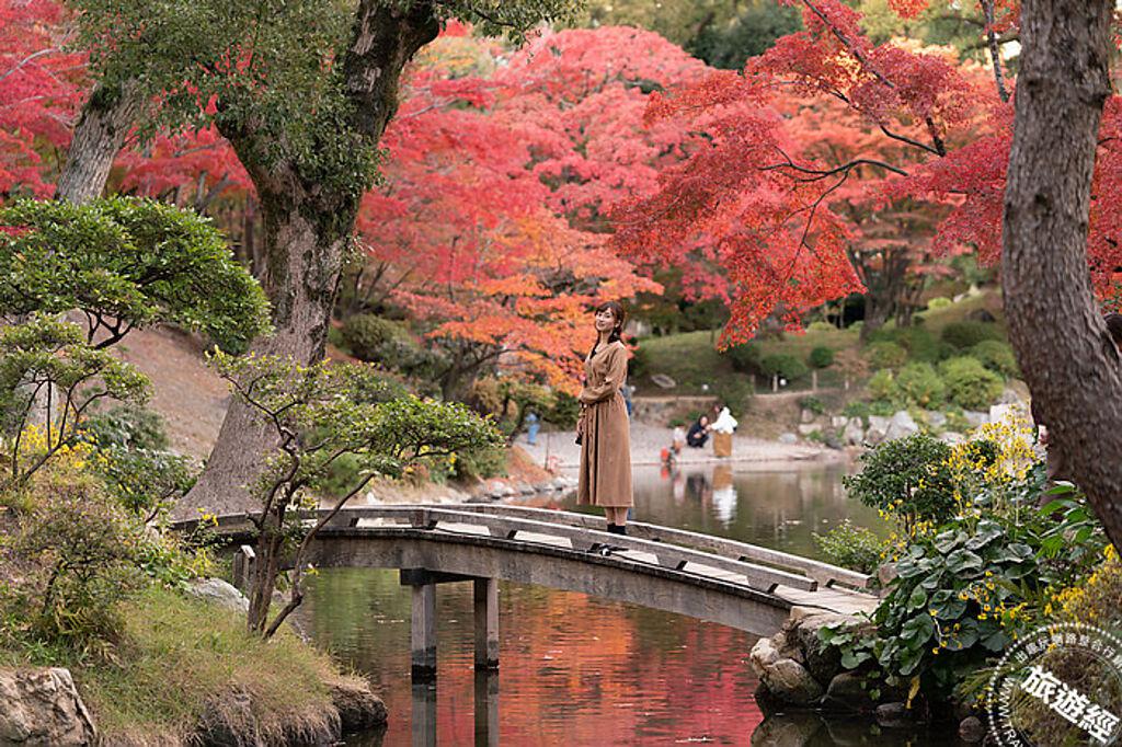 秋天的縮景園，紅黃綠交織的迷人景色，讓人驚艷，是廣島知名的賞楓名勝。