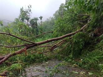 海葵颱風過境聯外道路受阻 台東多處山屋、步道持續暫停開放