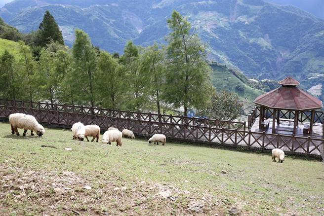 清境农场强调，埔里到清境的台14线、台14甲线都畅通，清境已恢復美丽面貌，并无封山。（清境农场提供／杨静茹南投传真）