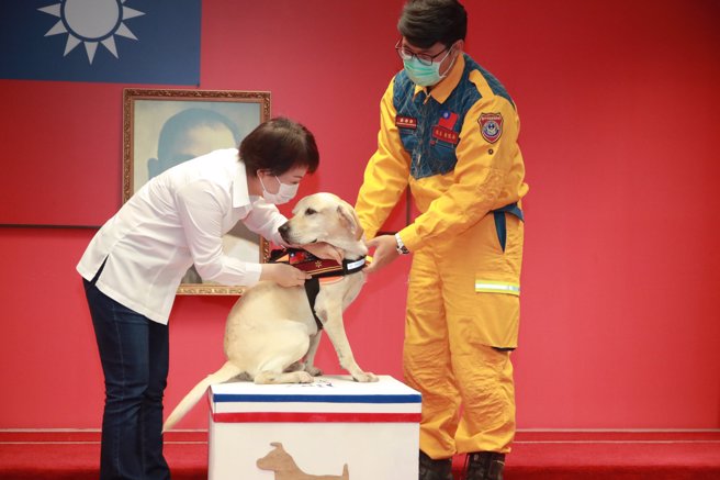 鐵雄官拜「二線一星」，是目前全台最高階的搜救犬。(台中市消防局提供)