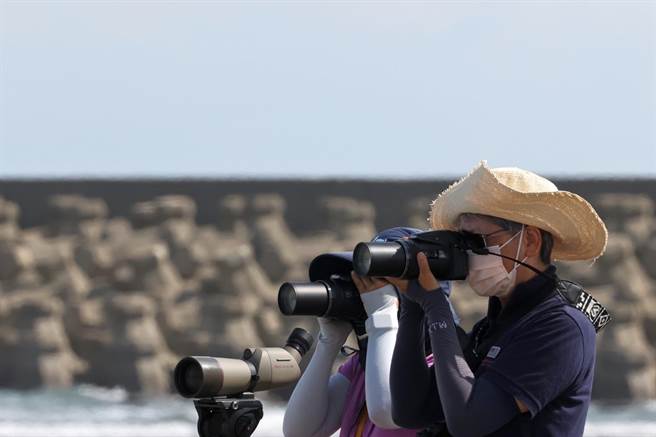 桃园滨海观鸟大赛9月9日将在桃园海岸线登场，为在地赏鸟盛事，桃园市野鸟学会盼透过赛事，让大眾更关注候鸟生态。（桃园市野鸟学会提供／蔡明亘桃园传真）