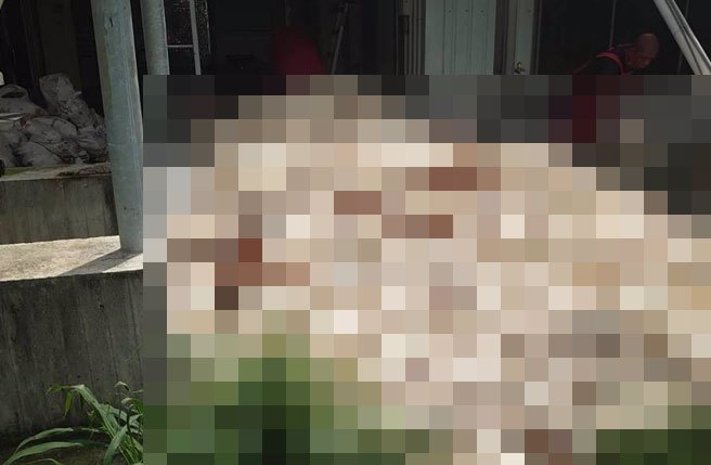 位在台东卑南乡的鸡舍，因海葵颱风酿电，设备无法运作，导致逾3万只蛋鸡死亡。（读者提供／萧嘉蕙台东传真）