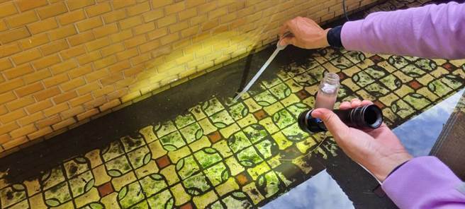 台南登革熱今天新增319例，近期時有強降雨，社區產生相當多積水容器恐孳生病媒蚊。（台南市衛生局提供／曹婷婷台南傳真）