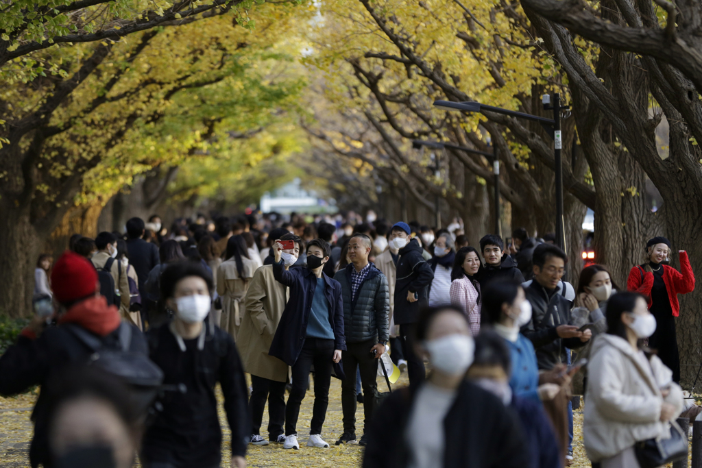 福岛排放核废水后，中国旅客纷纷传出日本游退团消息。图为明治神宫。（资料照／美联社）(photo:ChinaTimes)