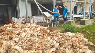 風災停水電 台東逾3萬隻雞暴斃
