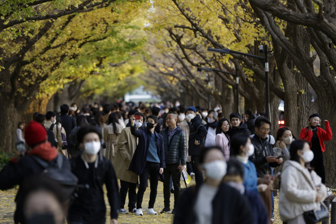 福岛排放核废水后，中国旅客纷纷传出日本游退团消息。图为明治神宫。（资料照／美联社）