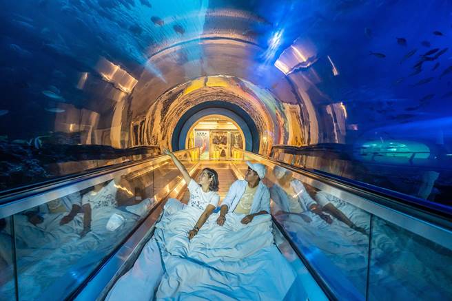 暑假结束，屏东海生馆体恤观光产业的辛劳，特别针对餐饮、旅行社、旅宿业、百货业、交通航运等相关行业从业人员，推出夜宿优惠。（屏东海生馆提供／谢佳潾屏东传真）