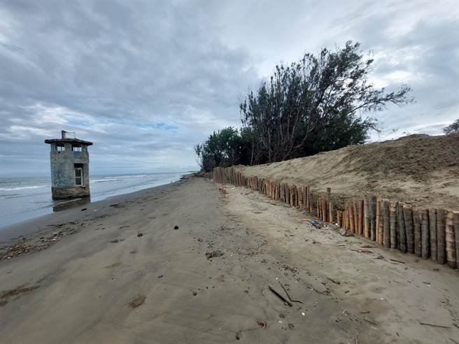 林业署打桩编栅筑堤护坡发挥功效，海葵颱风未再损坏。（台南市水利局提供／程炳璋台南传真）