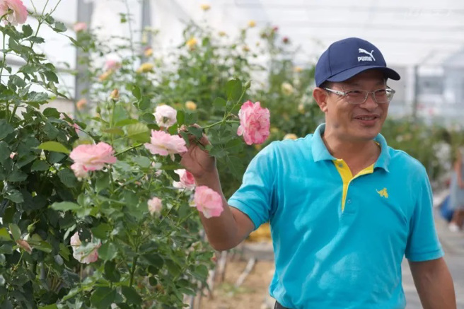 曙光玫瑰园主人郑宇超爱上玫瑰香气，园区里有着来自世界各地玫瑰品种，都被照顾得很好。（摄影：陈志东）
