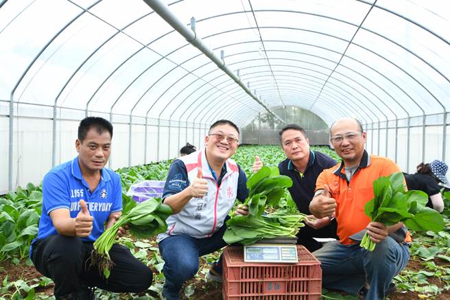 新屋区蔬菜产销班第15班以网室栽培有机蔬菜为主，获112年全国十大绩优农业产销班。（桃园市农业局提供／陈梦茹桃园传真）