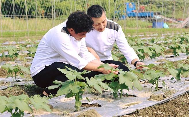 高雄洲际酒店和屏东有机小农合作，将饭店的餐饮废弃物化为有机肥回馈土地种植农作物，并将有机蔬果再次引进酒店，实践餐饮零废弃。（高雄洲际酒店提供）