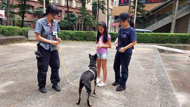 训犬师教授饲主如何避免犬只乱吠、乱大小便、乱咬人及暴衝，让毛宝贝能温和亲人。（新北市动保处提供）