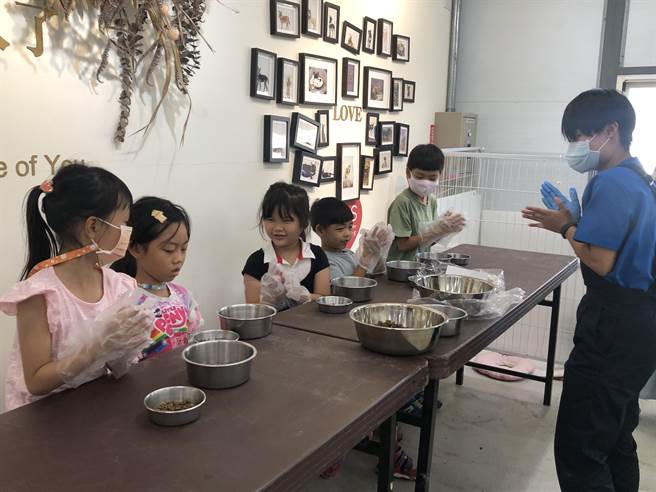 小朋友体验为毛孩准备饲料。（张芷瑜摄）