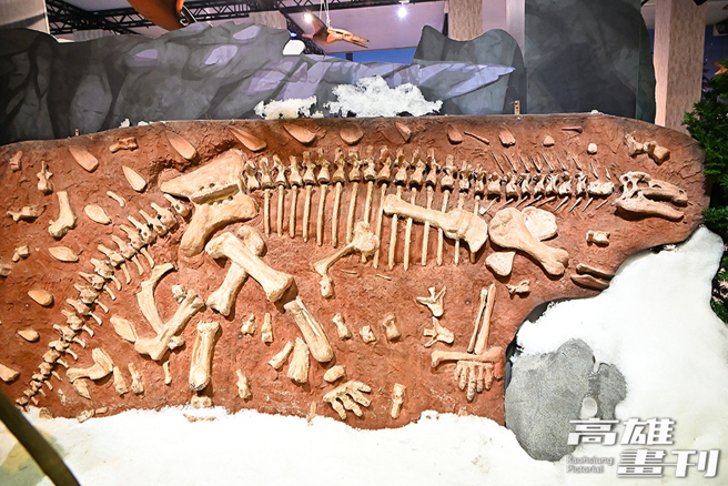 神秘的洞穴里藏着许多恐龙化石，小朋友在雪洞里，拿着工具向下挖掘，体验独一无二的雪地考古乐趣。(摄影/Carter)
