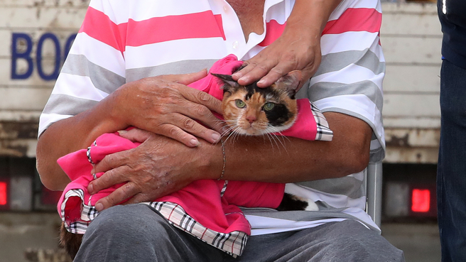 今早近10时已顺利将阿花带出，目测状态良好，已通知饲主到场。（图／记者刘宗龙摄影）